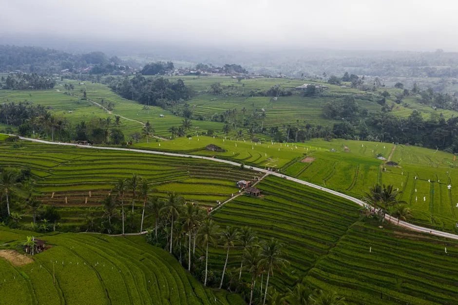 Tranquil Bali rice terraces hidden gem landscape