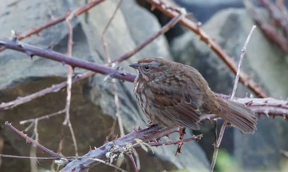 Descriptive image related to article topic