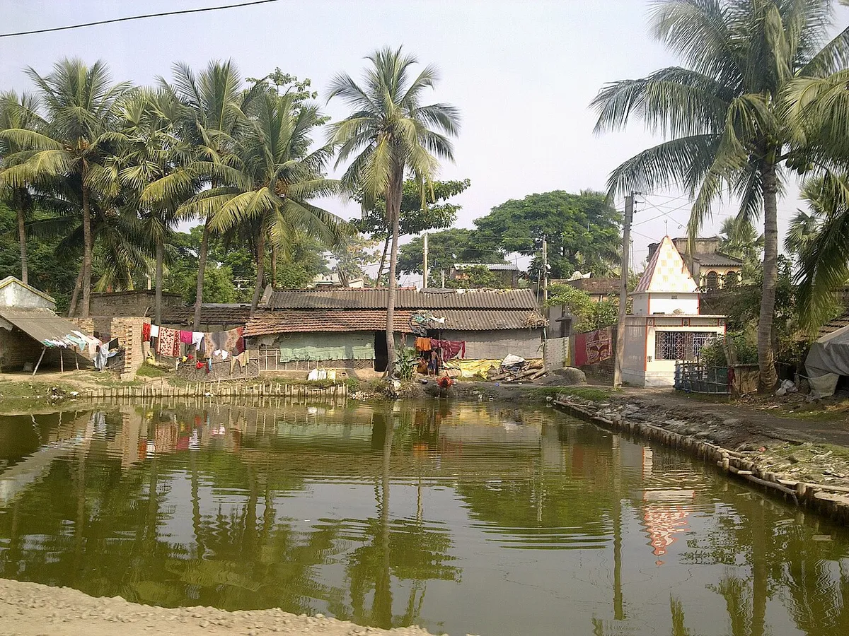 Grisly Just Country Life detailed view