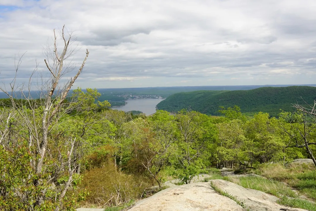 Hiking Trails detailed view