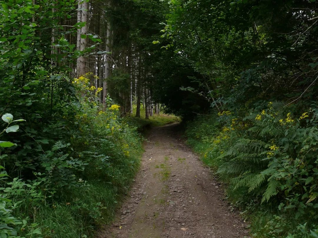 Hiking Trails hero image