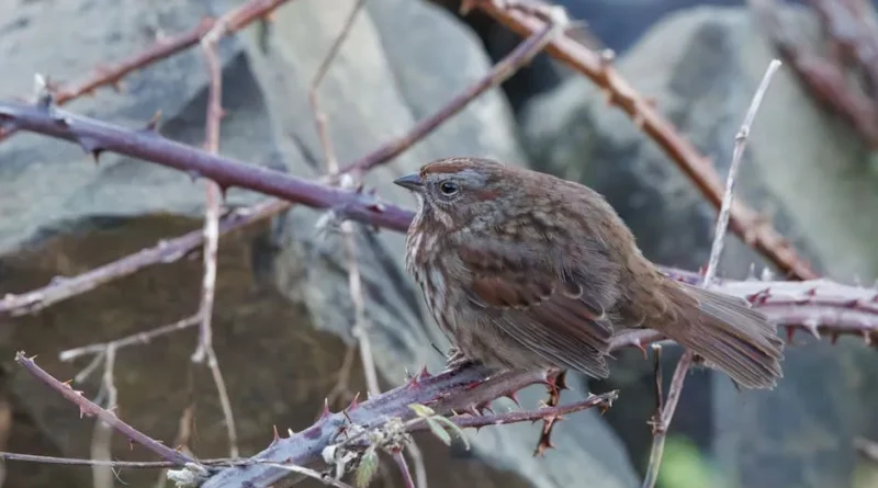 Proven Budget Travel Secrets supporting visual