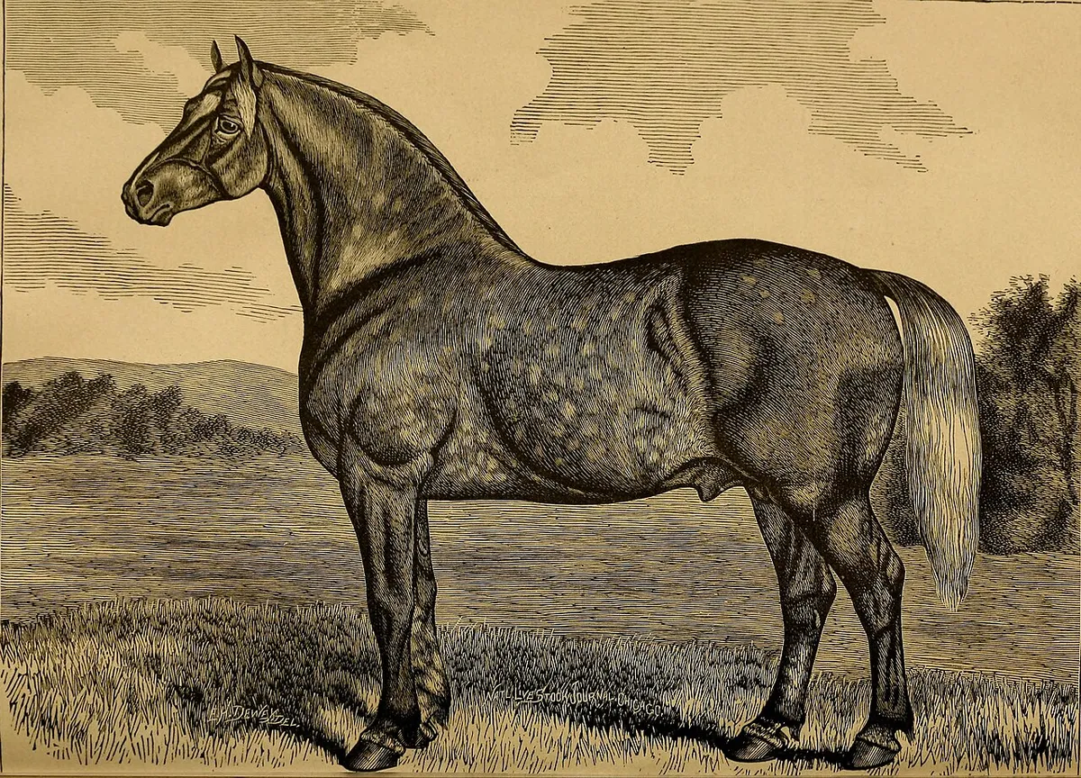 Treatment step illustration
