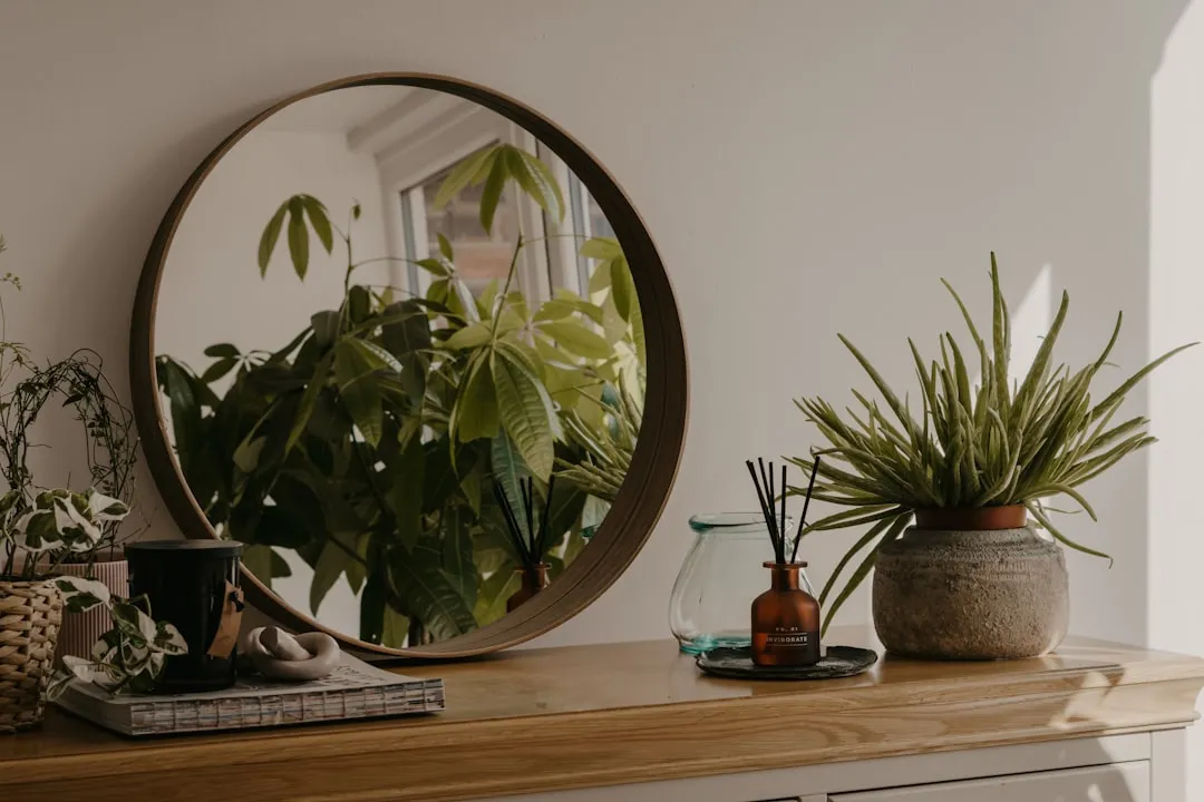 Hanging pothos plant cascading from a modern shelf