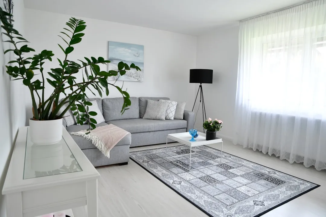 Mid‑article image contrasting Scandinavian brightness with Minimalist starkness