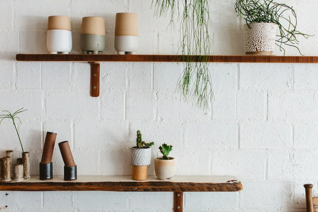 Styled shelf with plants and curated decor